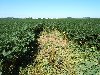 40 foot landing 003 (Small).jpg