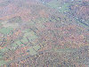 P1010013.JPG