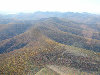 P1010016.JPG