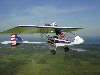 BT_Flying.jpg