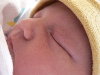Elizabeth-small.jpg