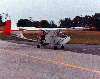 Hawk.JPG
