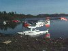 image001.jpg