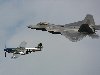 IMG_3419 (Large).jpg