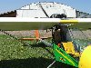 repaired right wing-.jpg