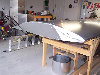 wing 042.jpg