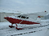 Wittman Tailwind  W-10.jpg